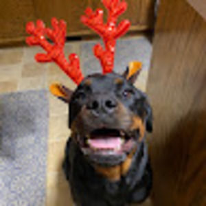 Meet your Posher, Kaitlyn